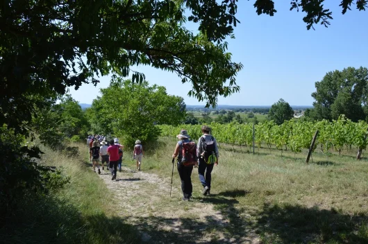 En juin, balade à Giroussens, terres d’argile et de céramique