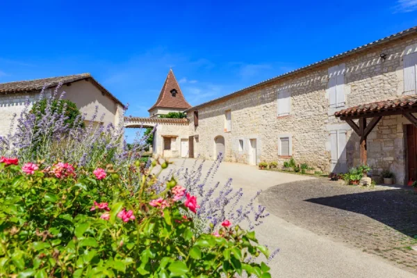 Un pique-nique dans les vignes : les domaines qui vous acceuillent