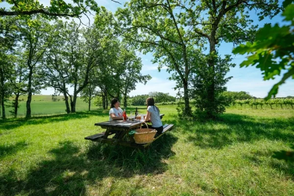 Un pique-nique dans les vignes : les domaines qui vous acceuillent