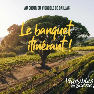 Vignobles en Scène ! dans le vignoble de Gaillac