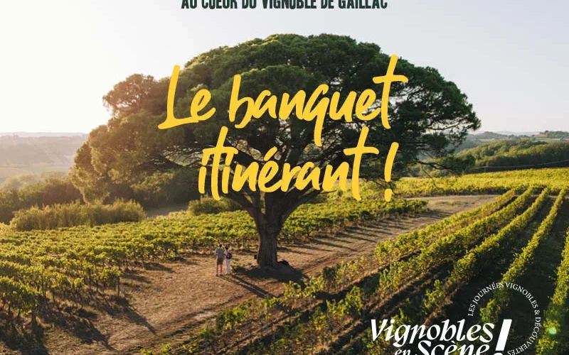 Vignobles en Scène ! dans le vignoble de Gaillac