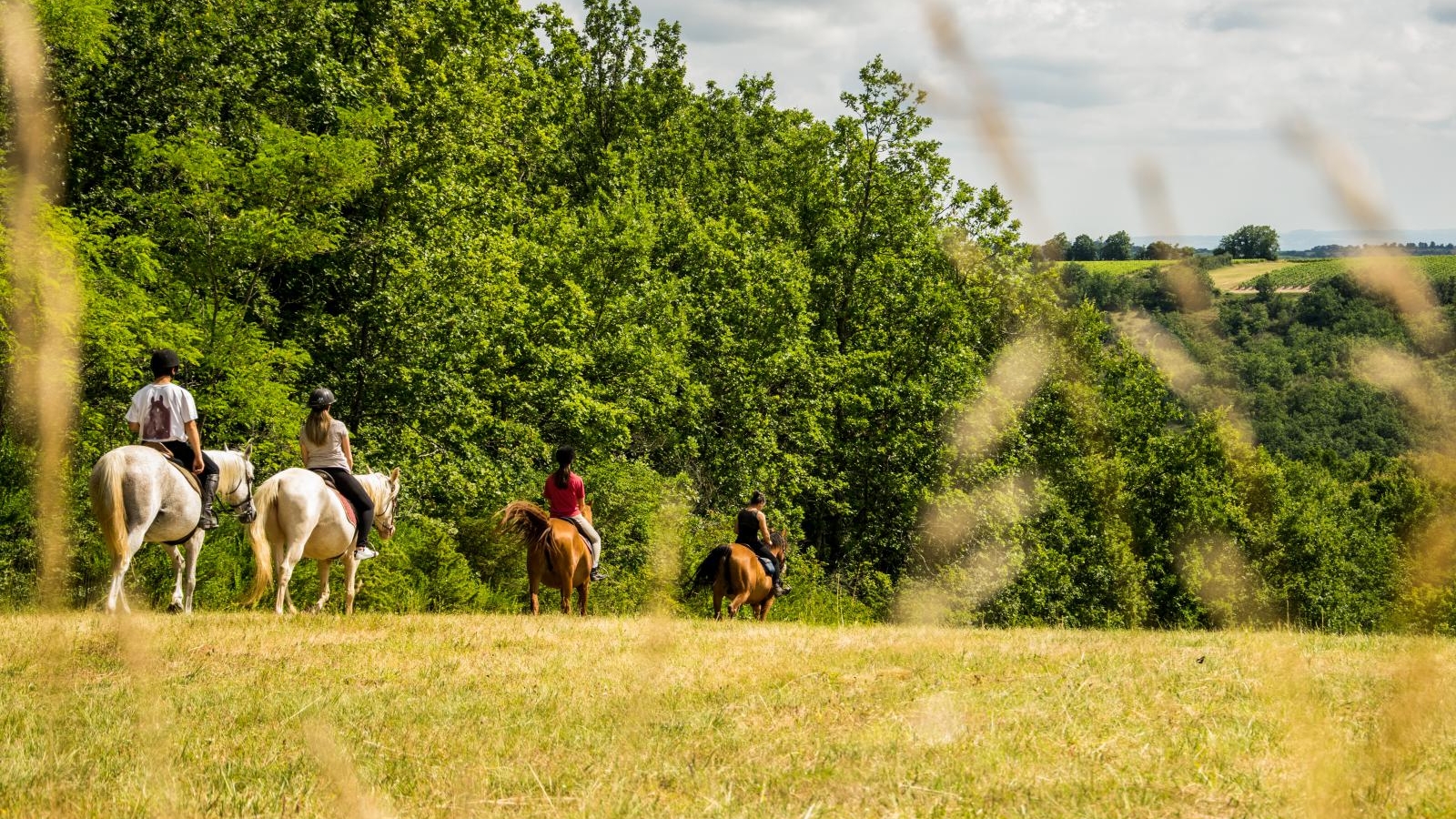 équitation cheval balade forêt campagne randonnée