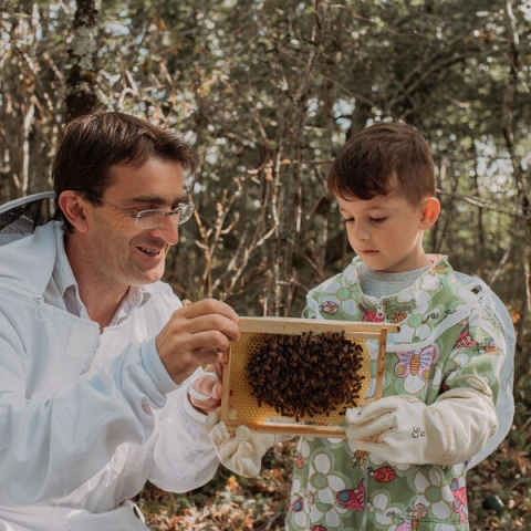 Découverte apiculture, Les abeilles en famille au Domaine de Candale à Lisle sur Tarn