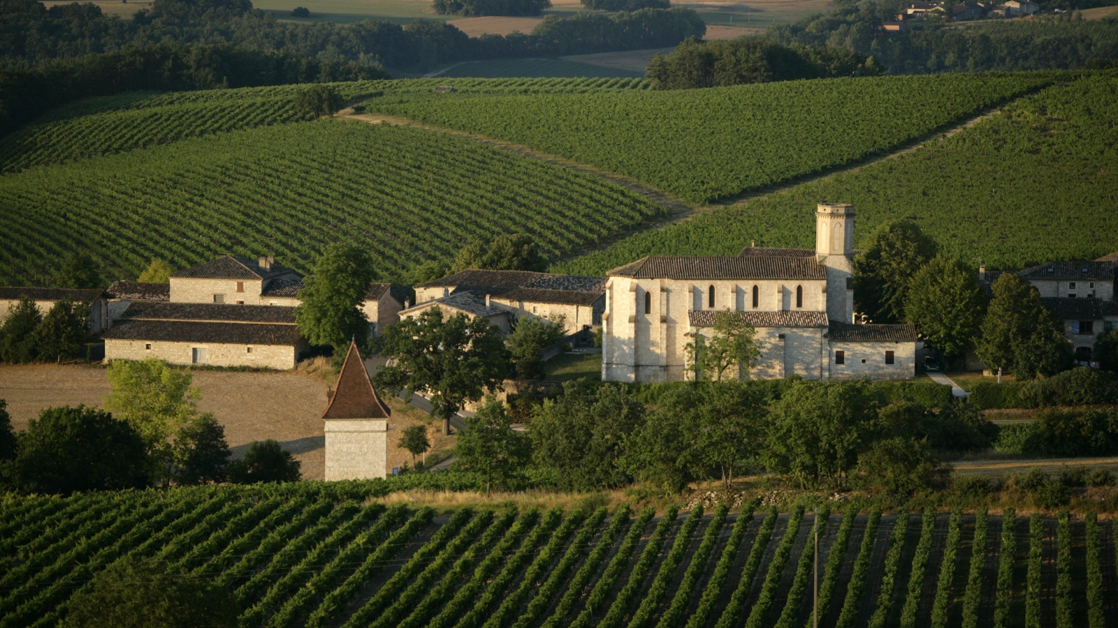 village d'Andillac au milieu des vignes, vignoble de Gaillac