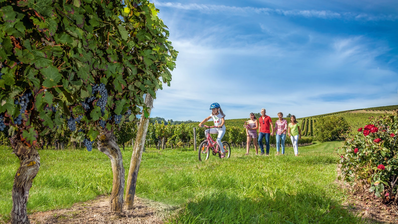 Balade en famille dans les vignes, vignoble de Gaillac
