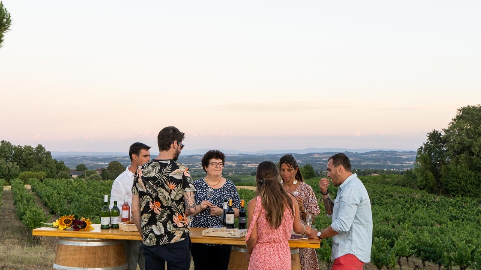 Dégustation de vin entre amis au milieu des vignes dans le vignoble du Gaillac