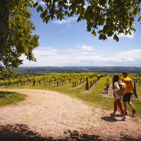Couple en randonnée dans les vignes de la Toscane Occitane