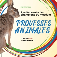 Exposition "Prouesses animales : à la découverte des champions du muséum !"