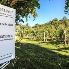 Visite Domaine Michel ISSALY