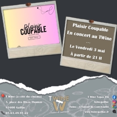 Concert "Plaisir Coupable" au T'Wine