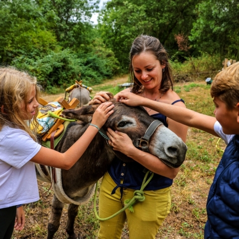 Exploration sensorielle et initiation à la balade avec les ânes