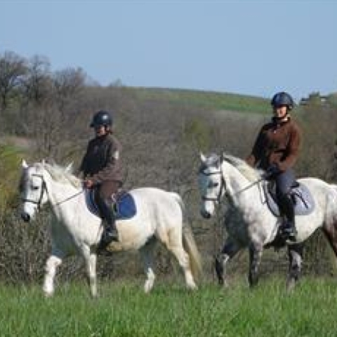 Horseback riding and equestrian workshop