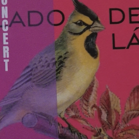 Concert "Lado De Lá"