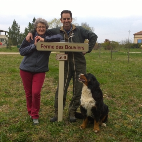 Bouviers Farm